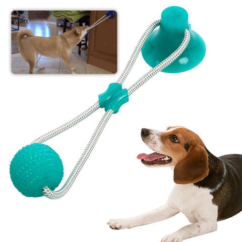 Multifunction Pet Molar Bite - WOWPRODUCTWORLD